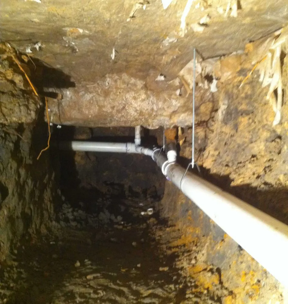 Slide of Elephant Plumbing