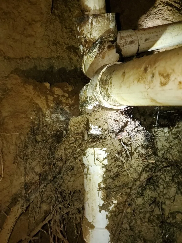 Slide of Elephant Plumbing