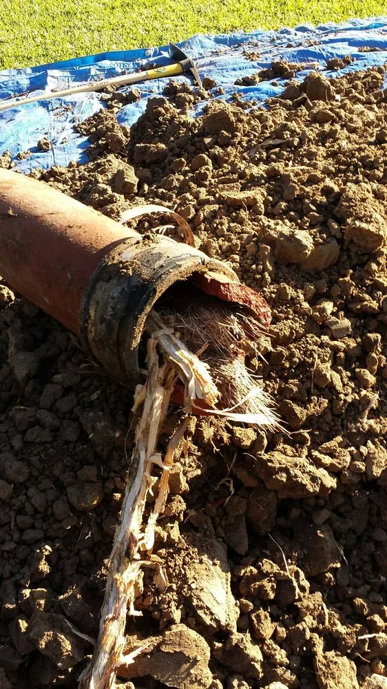 Slide of Elian Saado Plumbing