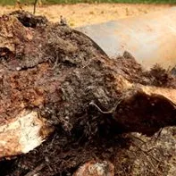 Slide of Eliminator Plumbing