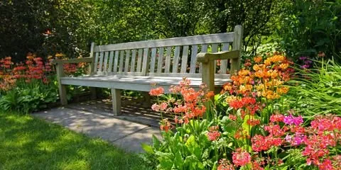 Slide of Eliot's Landscape