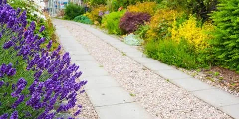 Slide of Eliot's Landscape