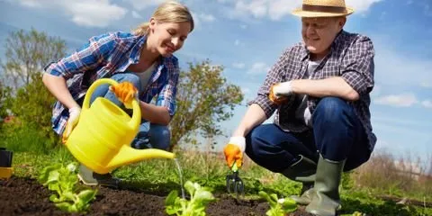 Slide of Eliot's Landscape