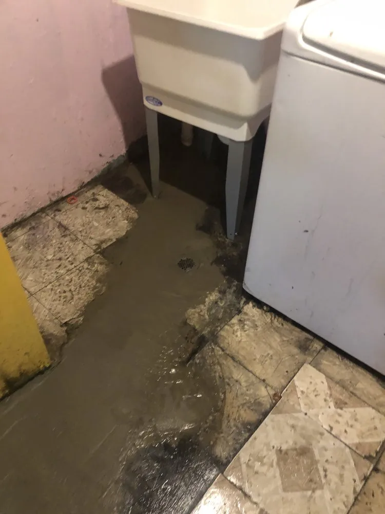 Trusted drain cleaning for homes in St. Clair Shores, MI by Elite Drainco