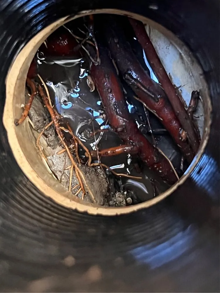 Slide of Elite Plumbing & Drains