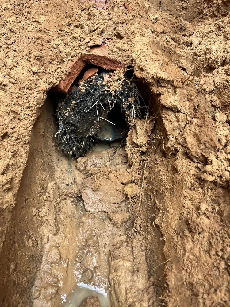 Trusted plumbing repair service in Pasadena, MD - Elite Plumbing & Home Services