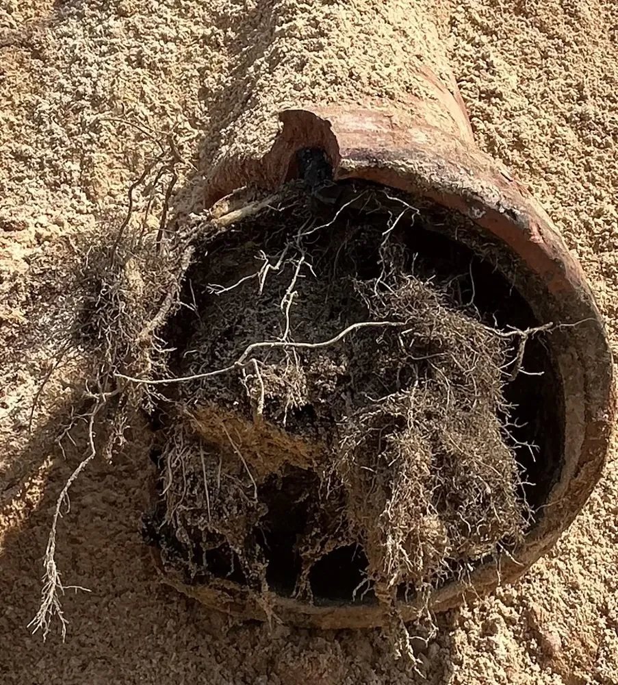 Reliable drain cleaning service in Pasadena, MD - Elite Plumbing & Home Services