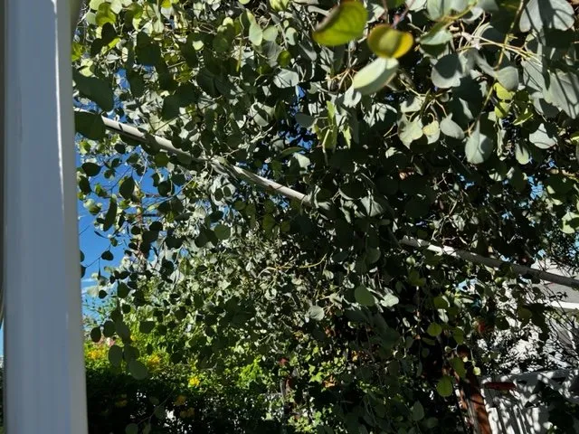 Reliable pipe repair service in Las Vegas, NV - Elite Plumbing, Heating & Air Conditioning