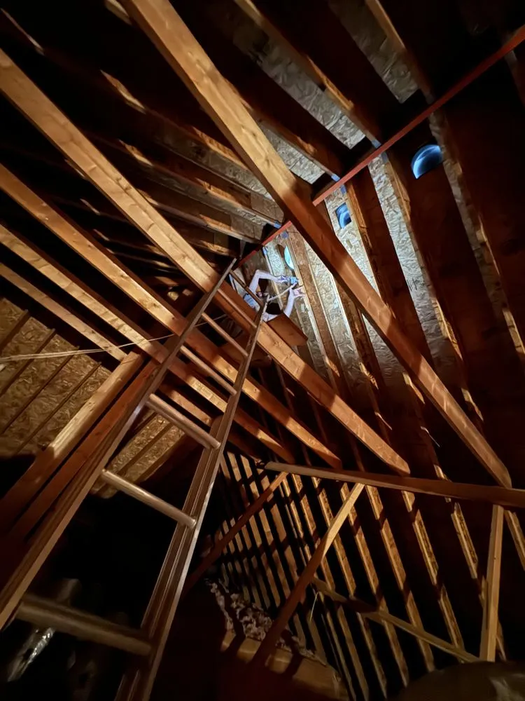 Slide of Elite Property Renovations