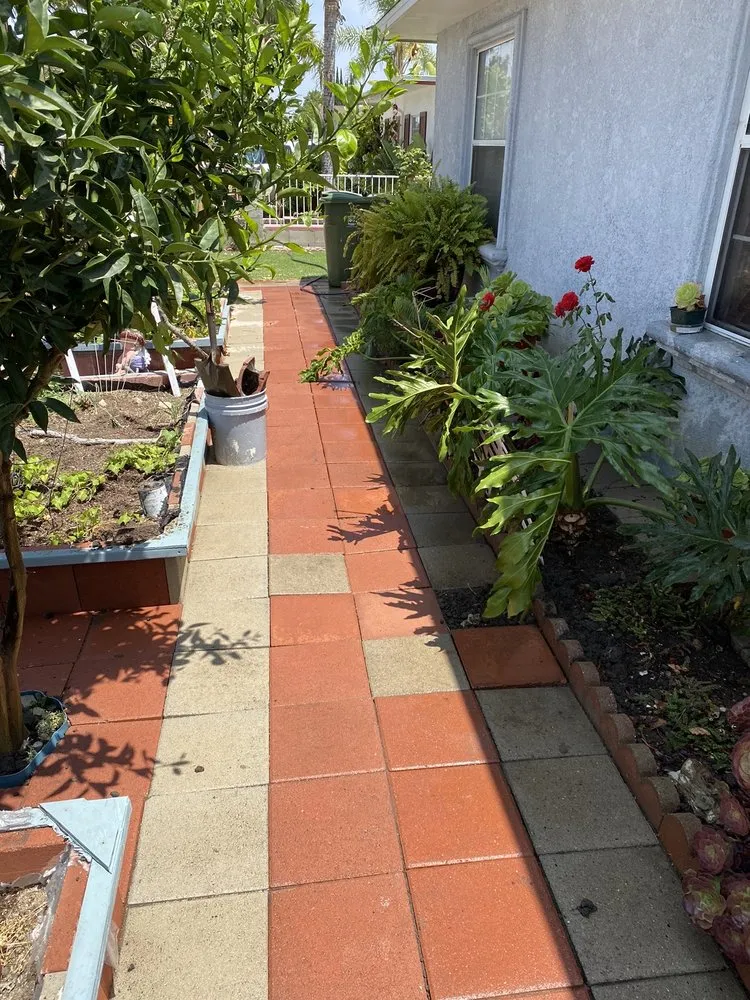 Slide of Elite Rooter - Orange