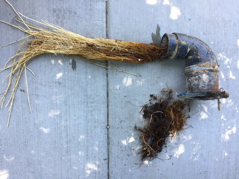 Slide of Elite Rooter