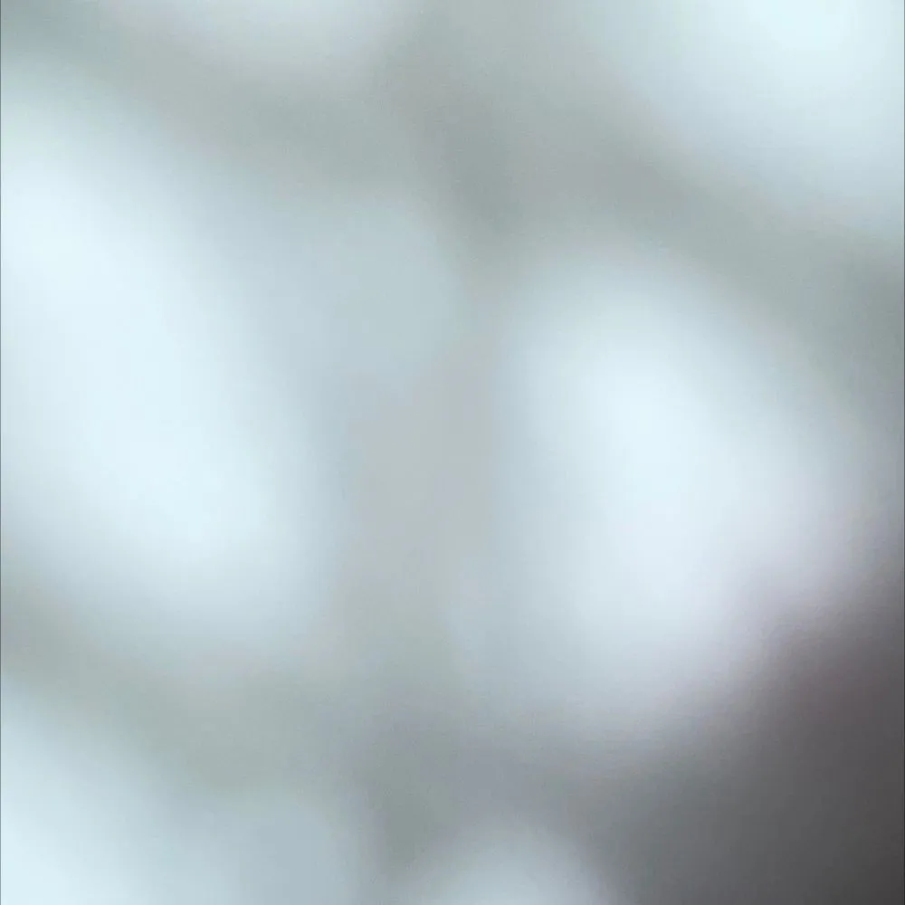 Slide of Elite Rooter Central Coast