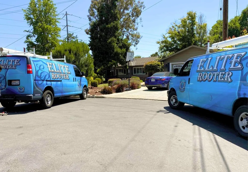 Slide of Elite Rooter