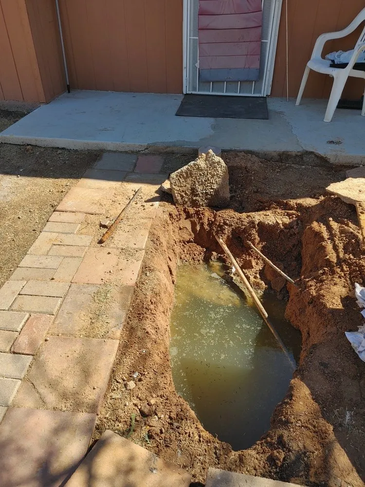 Slide of Elite Rooter