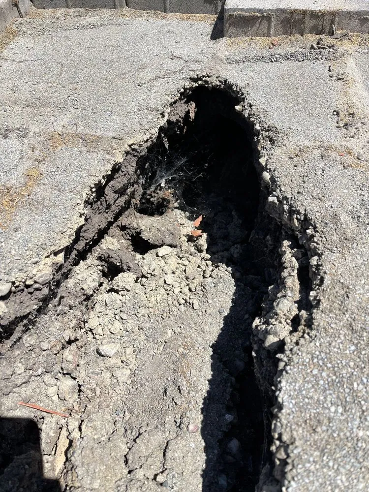 Slide of Elite Rooter