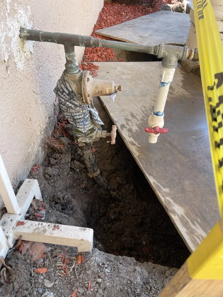 Slide of Elite Rooter