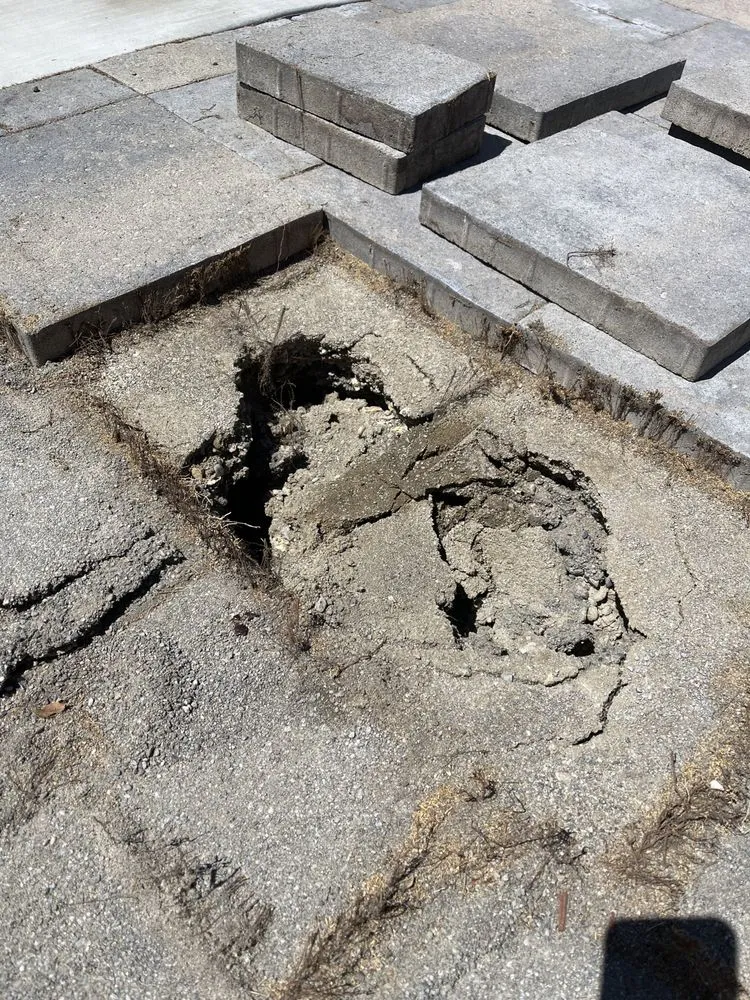 Slide of Elite Rooter