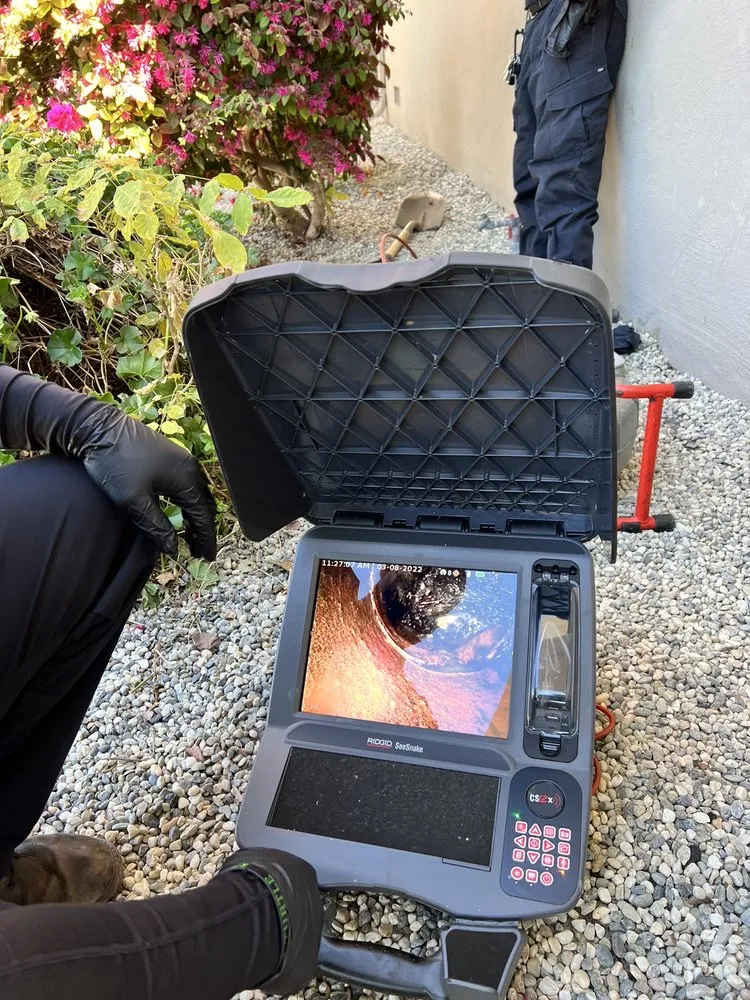 Slide of Elite Rooter