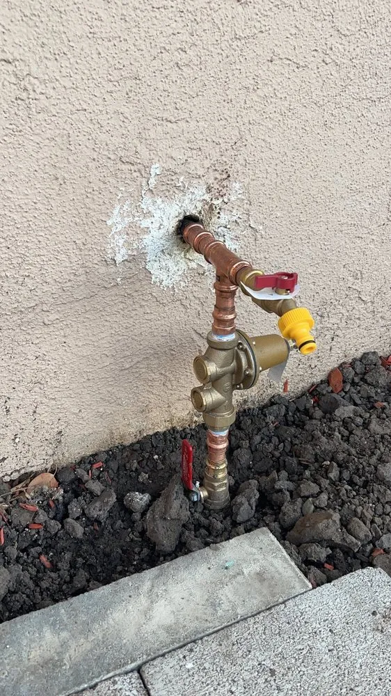 Slide of Elite Rooter