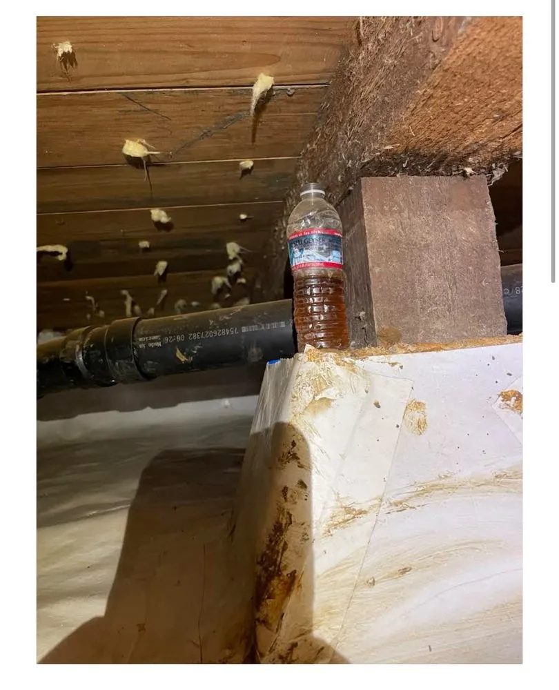 Slide of Elite Rooter