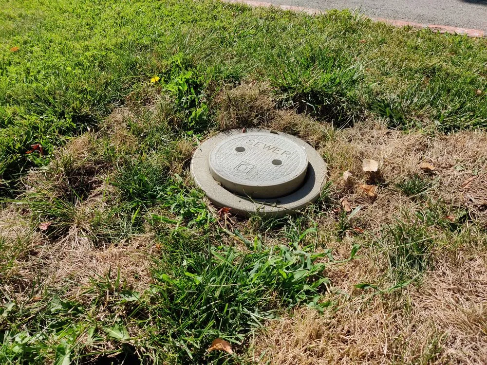 Slide of Elite Rooter