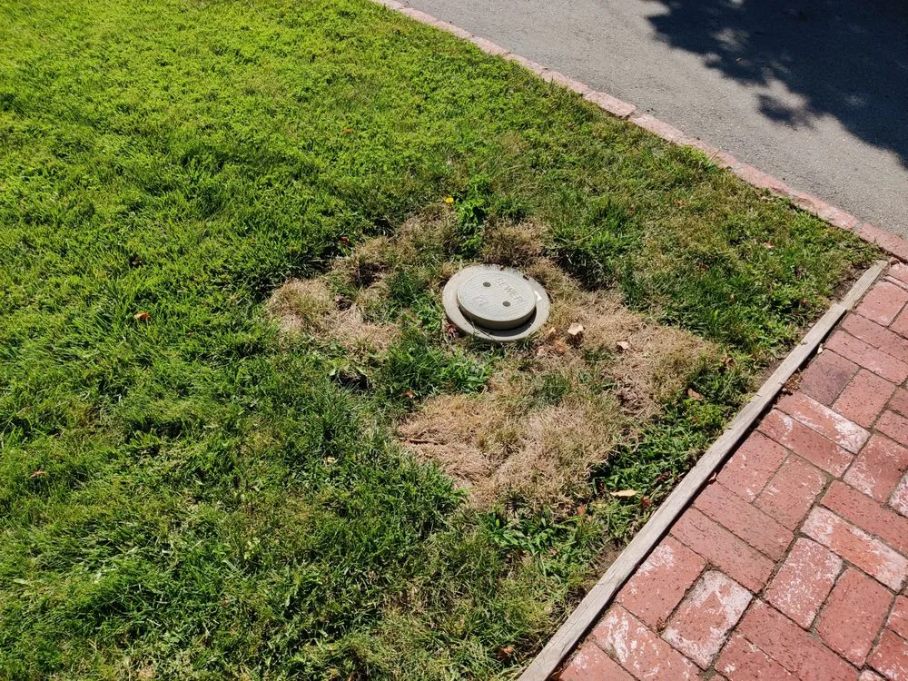 Slide of Elite Rooter