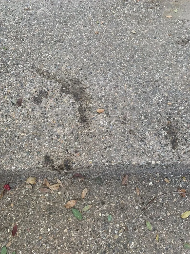 Slide of Elite Rooter Santa Barbara