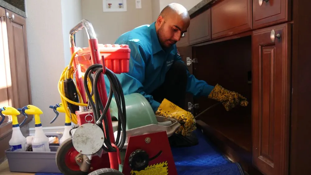 Slide of Elite Rooter