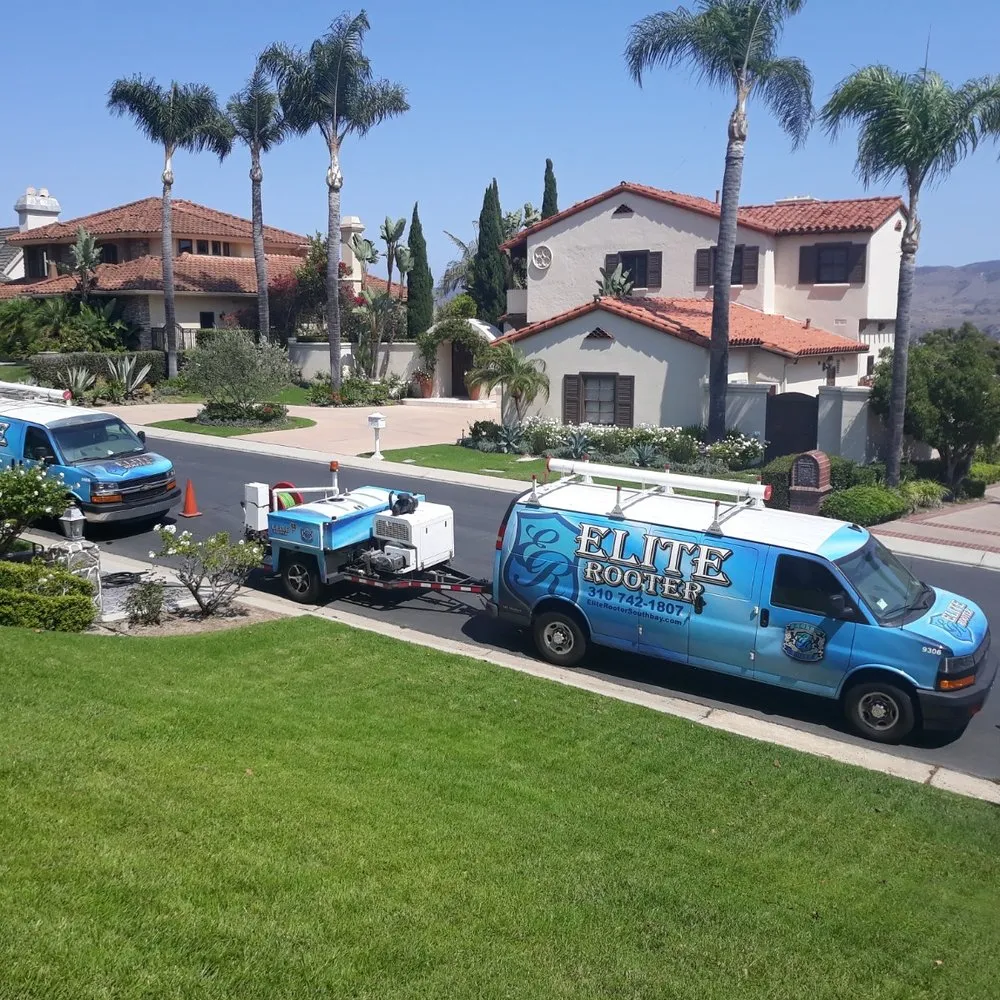 Slide of Elite Rooter