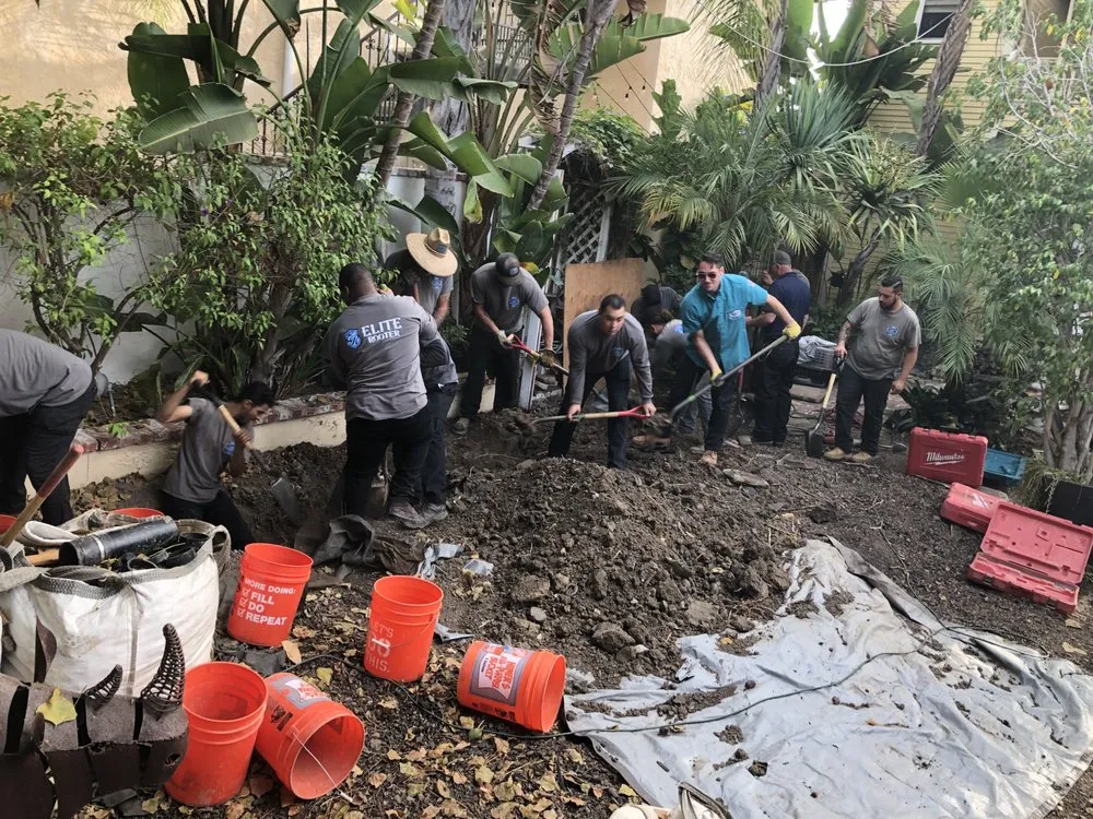 Slide of Elite Rooter