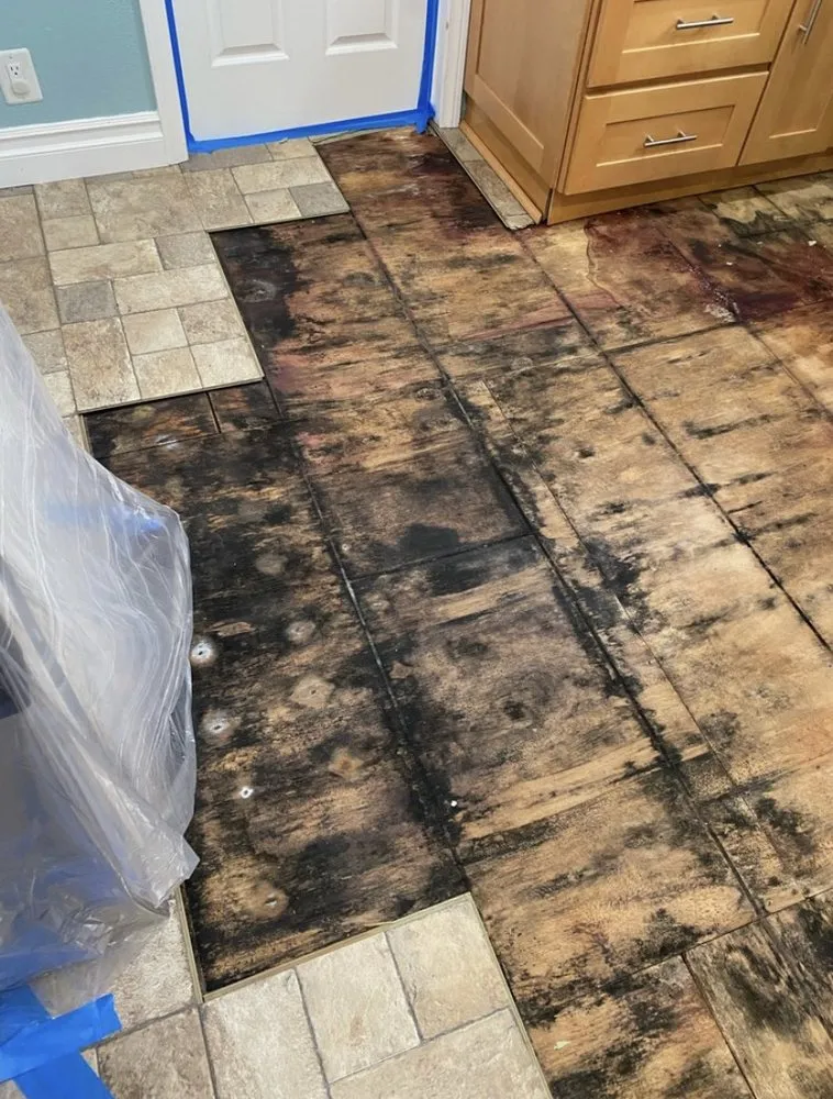 Slide of Elite Solutions Restoration