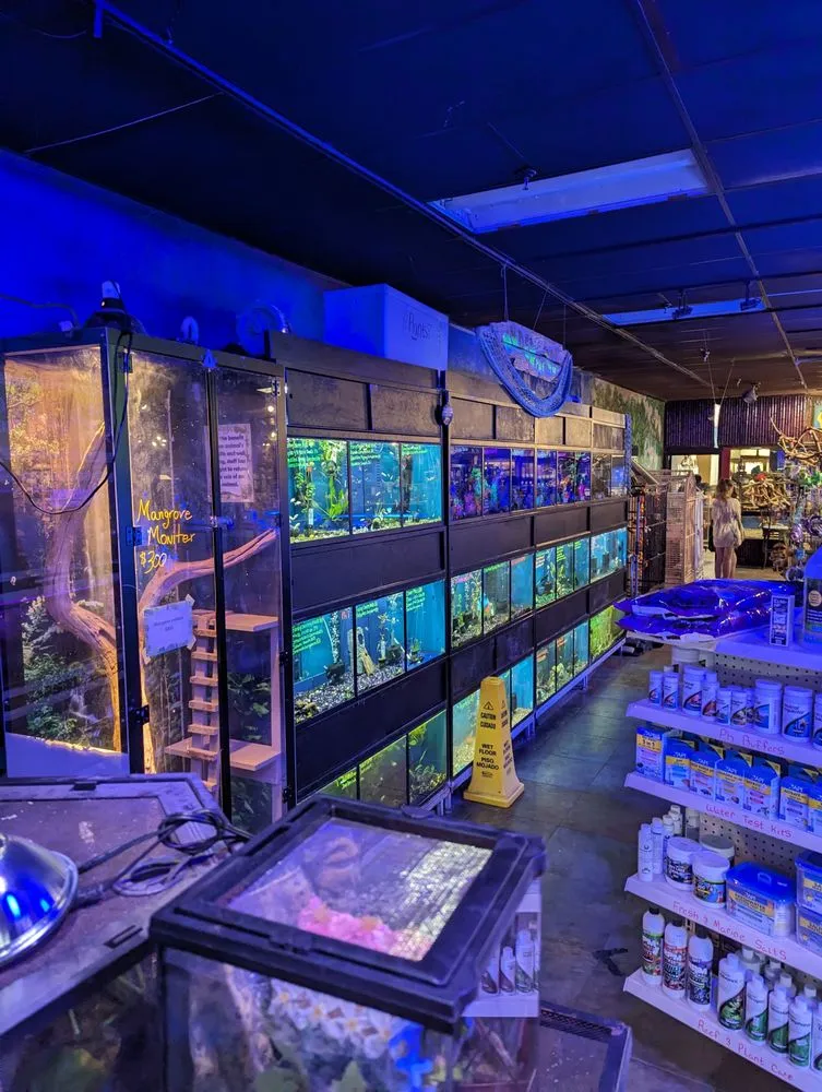 Slide of Elite Water Filters