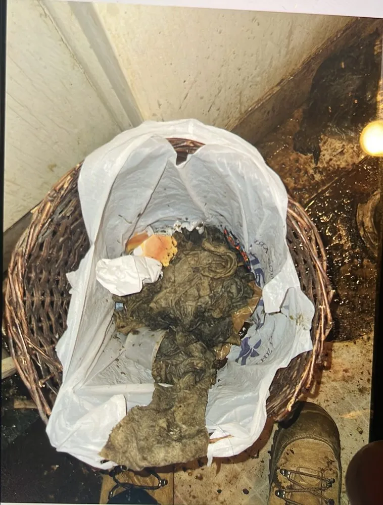 Slide of EliteFlow Drain Cleaning Services