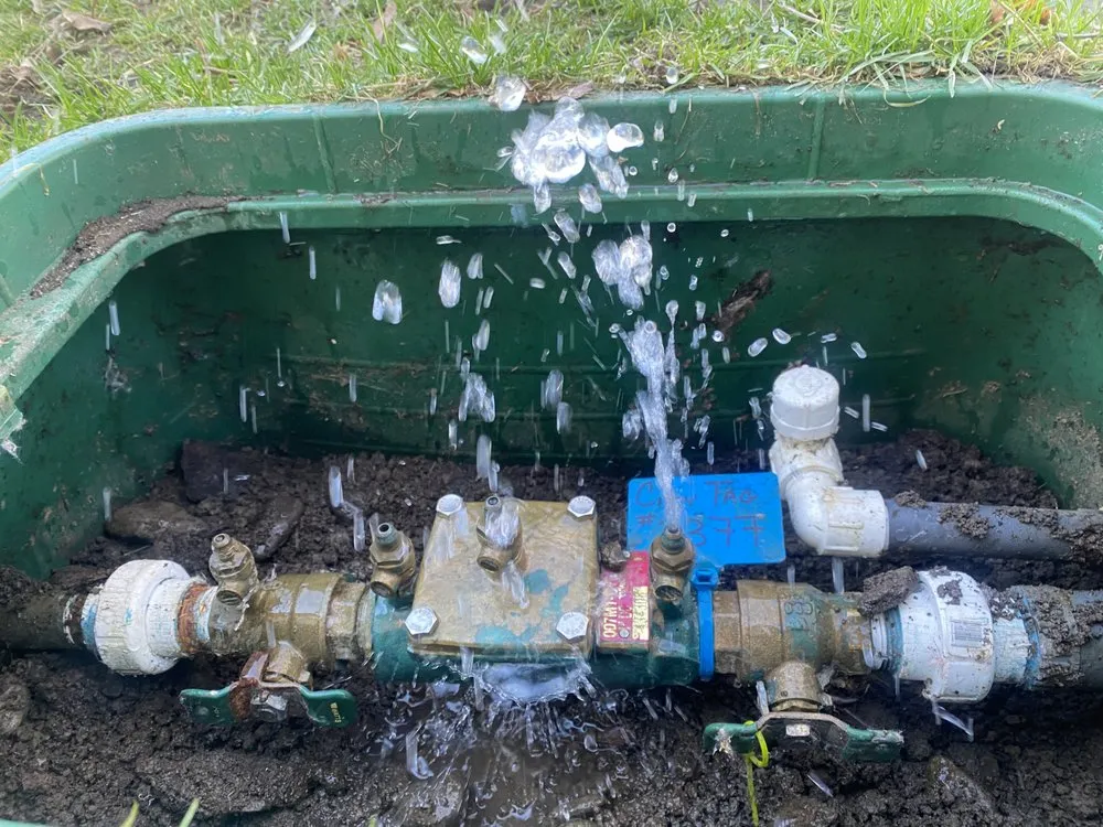 Slide of Ellensburg Backflow