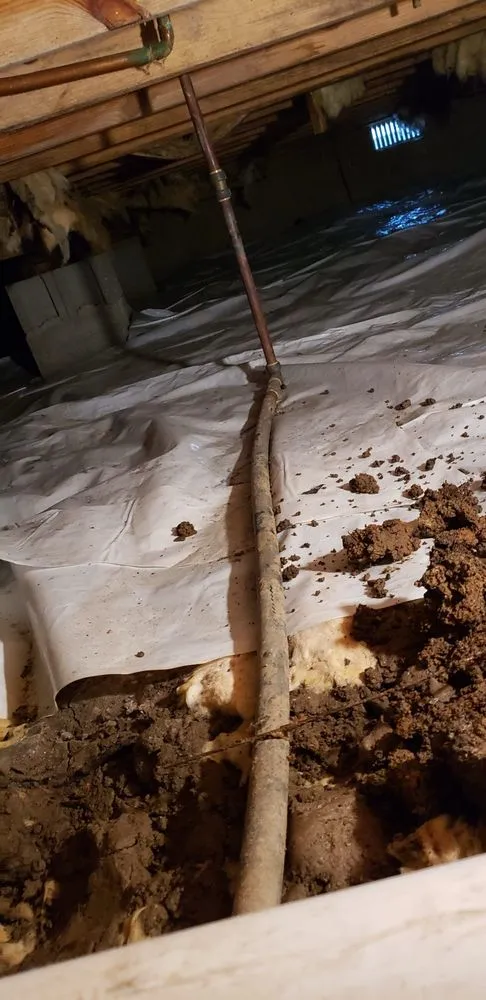 Slide of Elliott Plumbing Services