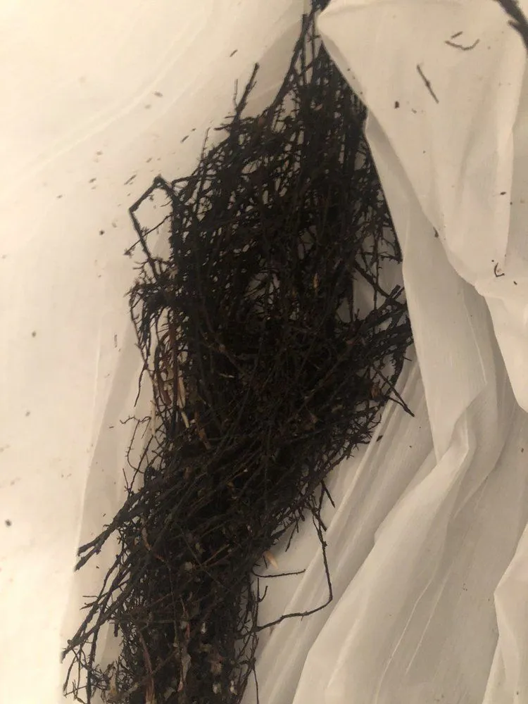 Slide of Elliott's Sewer & Drain