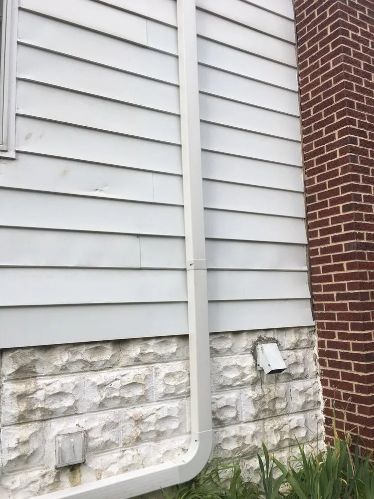 Slide of Ellis Albert