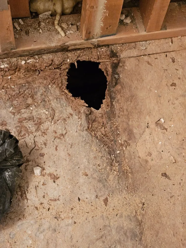 Slide of Elmer's Home Services