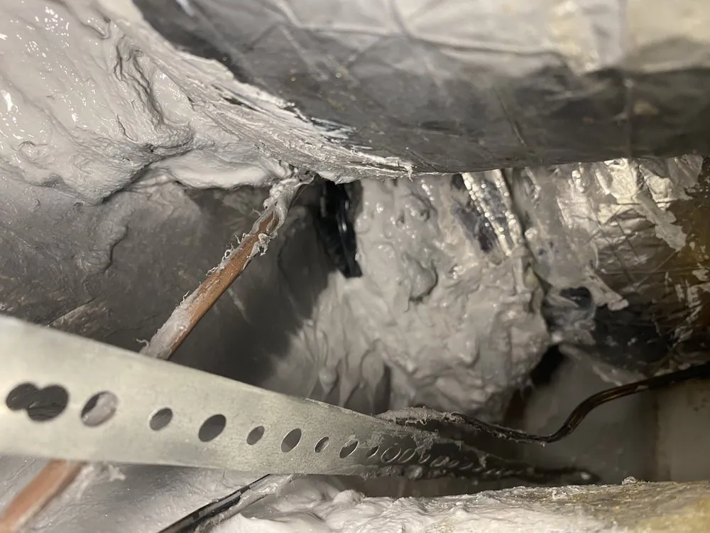 Slide of Elmer's Home Services