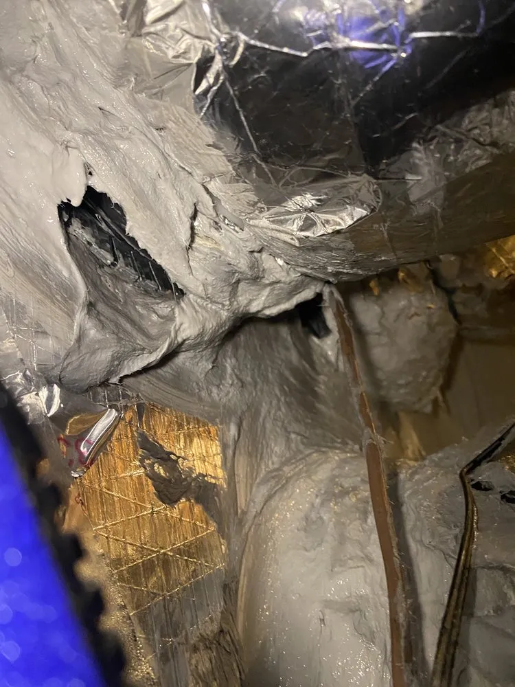 Slide of Elmer's Home Services