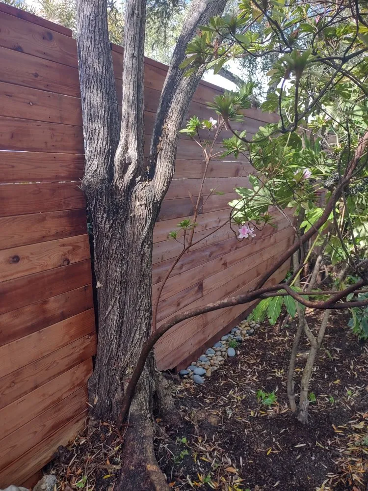 Slide of ELS Builder