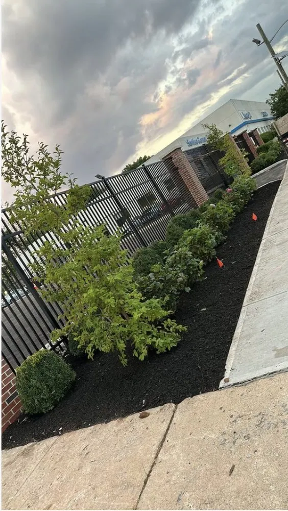 Slide of ELS Project Management