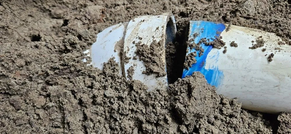 Slide of Emerald City Sewer