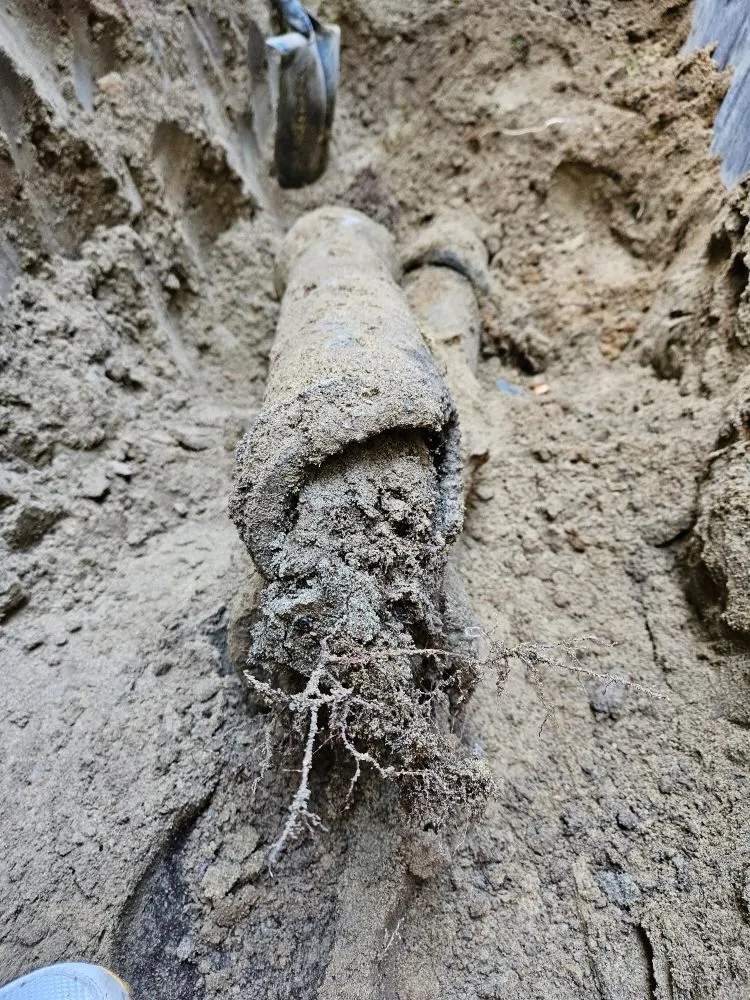 Slide of Emerald City Sewer