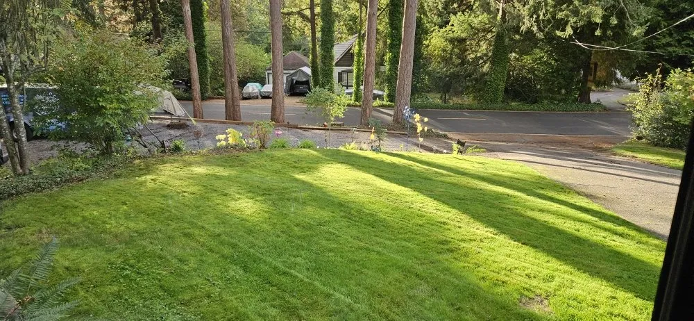 Slide of Emerald City Sewer