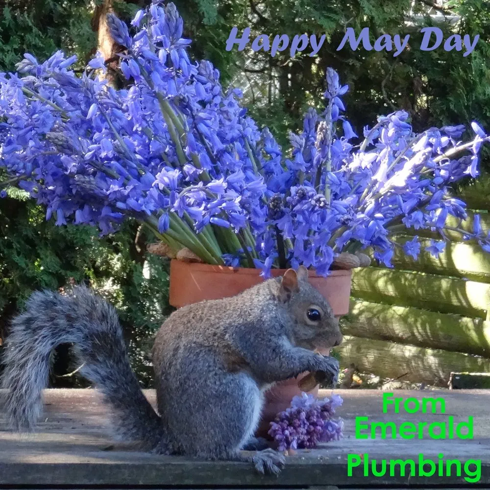 Slide of Emerald Plumbing