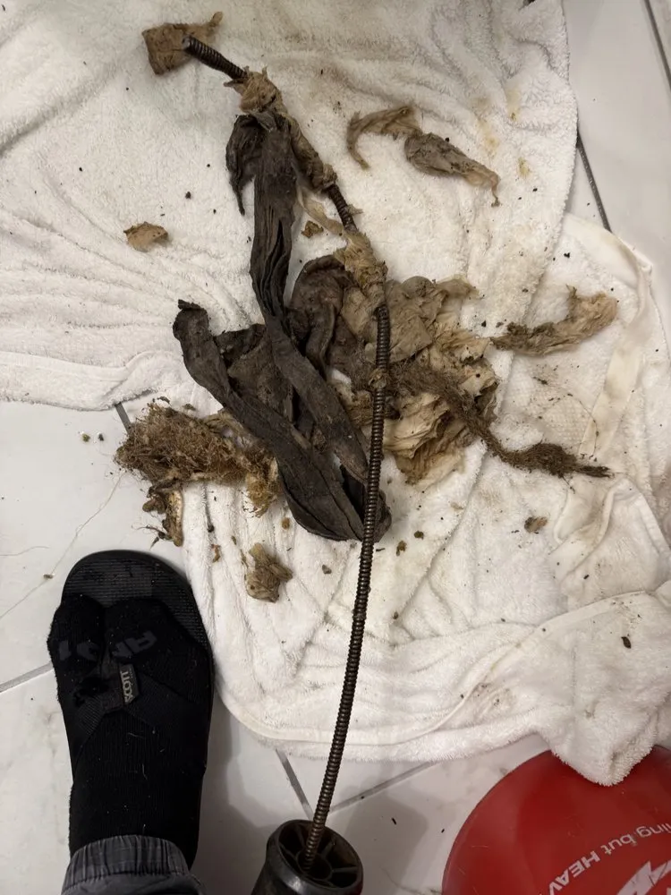 Slide of Emergency Clogged Drains