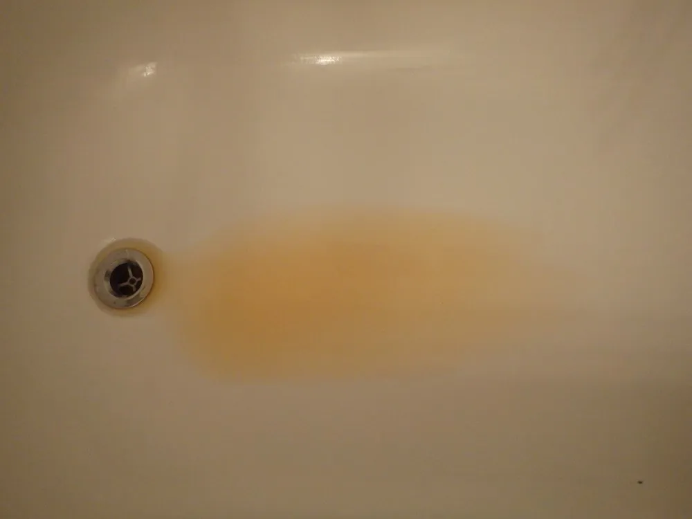 Affordable emergency plumbing service in New Port Richey, FL - Emergency Plumbing & Drain Services