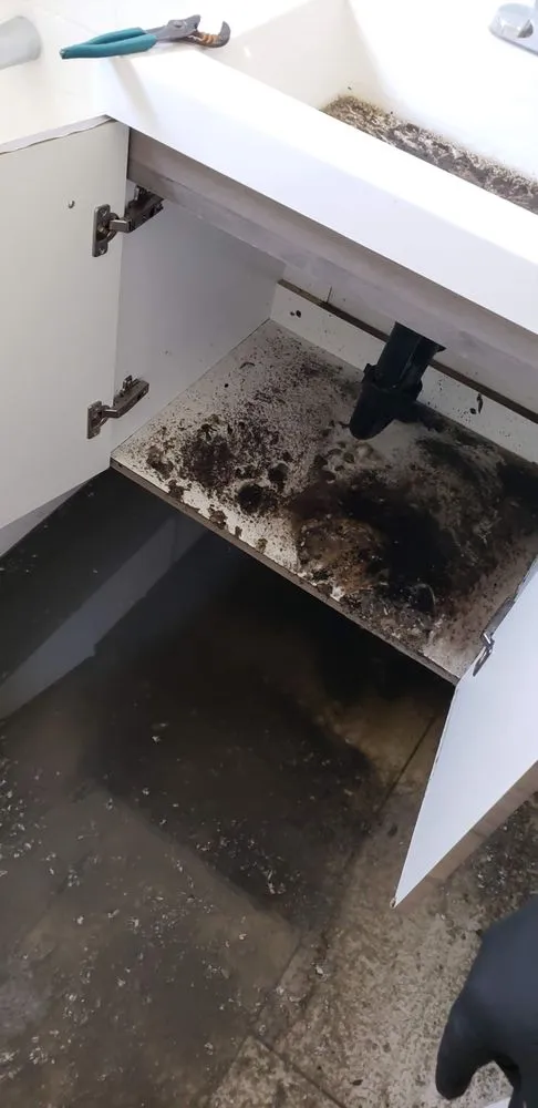 Top-rated leak detection experts serving San Fernando Valley, CA - Emergency Services Plumbing
