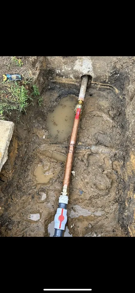 Slide of Emilio plumer